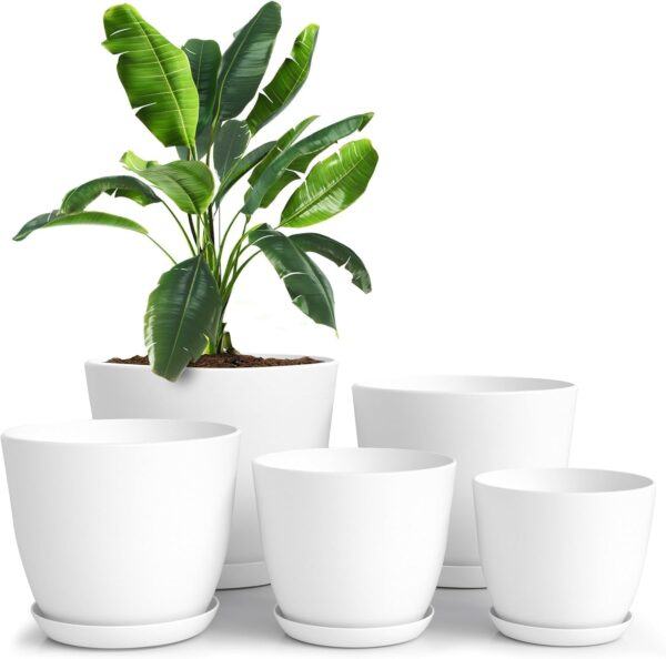 Utopia Plant Pots Indoor with Drainage