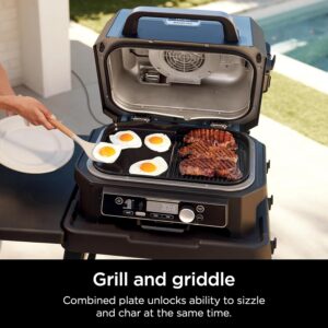 Ninja Woodfire Grill & Griddle Plate - Image 2