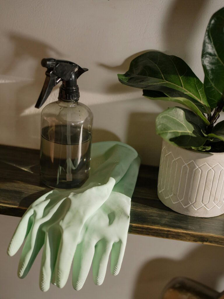 Master Your Clean Routine with Tools You’ll Wish You Had Sooner