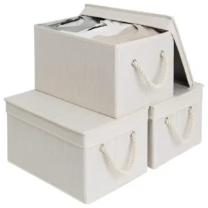 StorageWorks Storage Bins with Lid