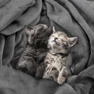 Utopia Bedding Fleece Blanket - Image 4